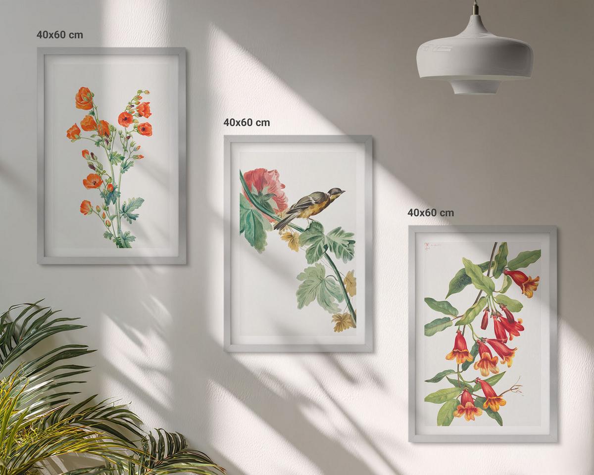 BILDER SET 3er Set - 40x60 cm Silberner Rahmen - Gemalte Blumen und ein Vogel - Silberfarben, Kunststoff (40/60cm) - TULUP