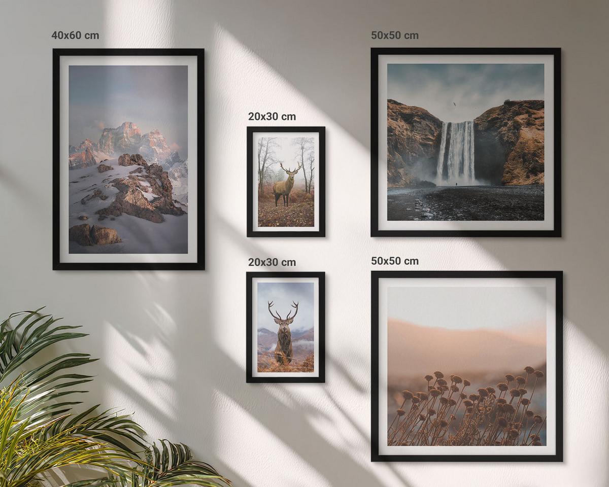 BILDER SET 5er Set - 50x50 cm & 20x30 cm & 40x60 cm Schwarzer Rahmen - Urlaub Palmen Wasserfall - Schwarz, Kunststoff (40/60cm) - TULUP
