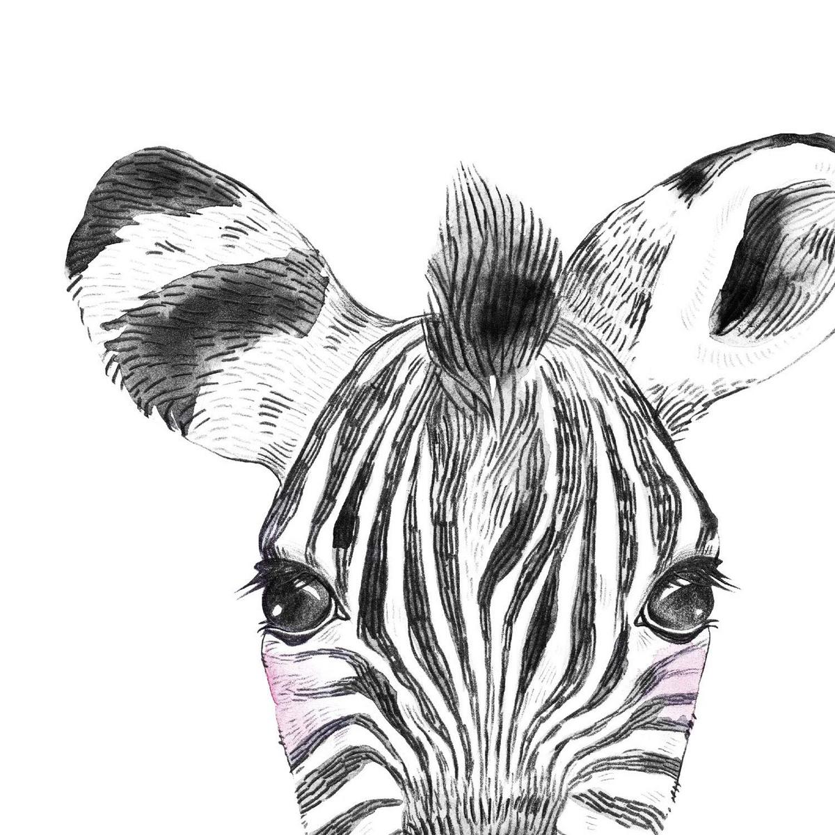 POSTER Set Mit 6 Tiere Babys Mit Kaugummi Zebra Schweinefleisch Giraffenwild Hirsch Kuhpferd A3 Rahmenlos - Klar, Papier (29/3cm) - Nacnic