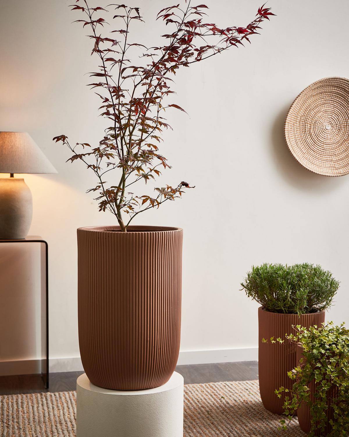 BLUMENKÜBEL Braun Eantio - Braun, Keramik (56cm) - Beliani