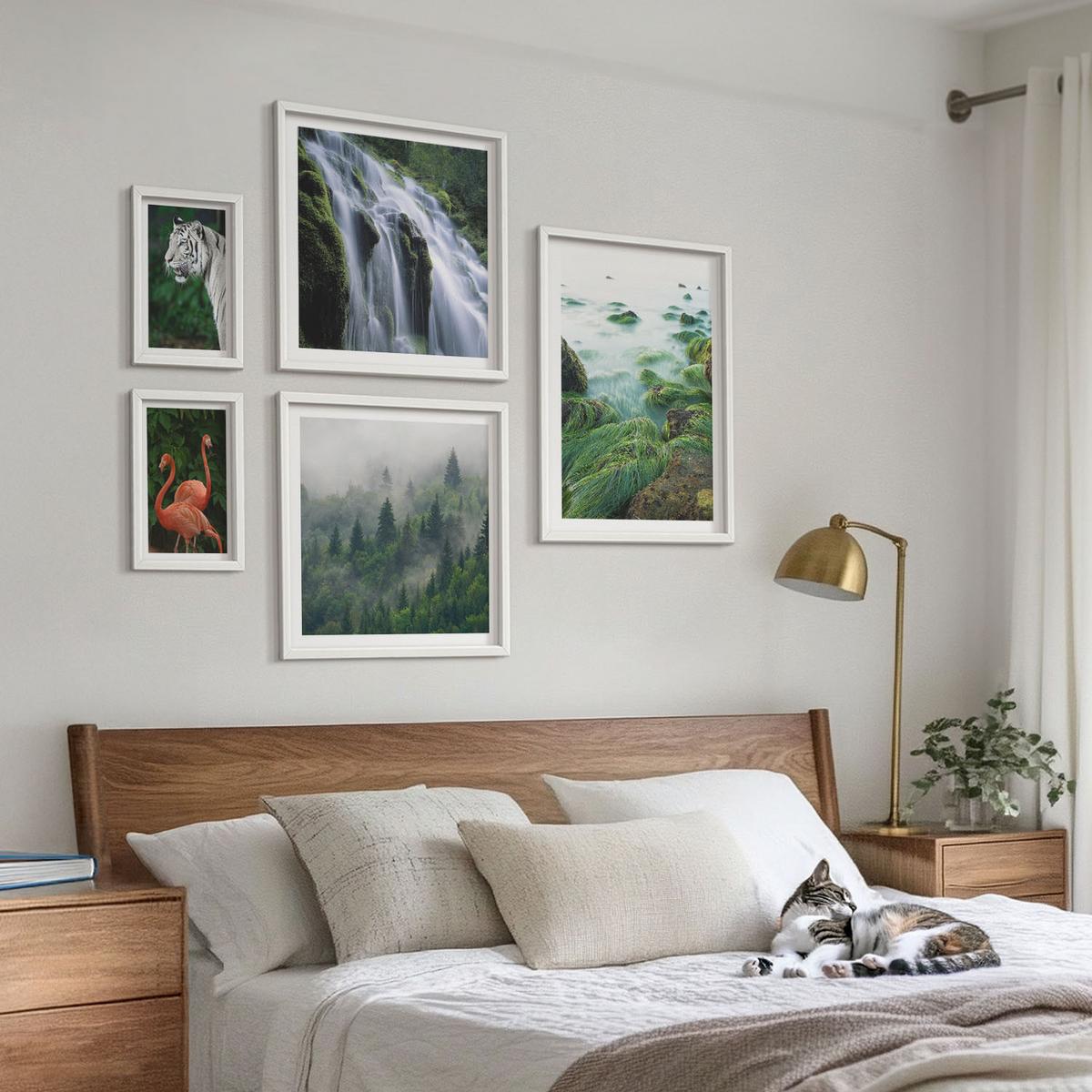 BILDER SET 5er Set - 50x50 cm & 20x30 cm & 40x60 cm Weißer Rahmen - Tiger Wasserfall Flamingos Natur - Weiß, Kunststoff (40/60cm) - TULUP