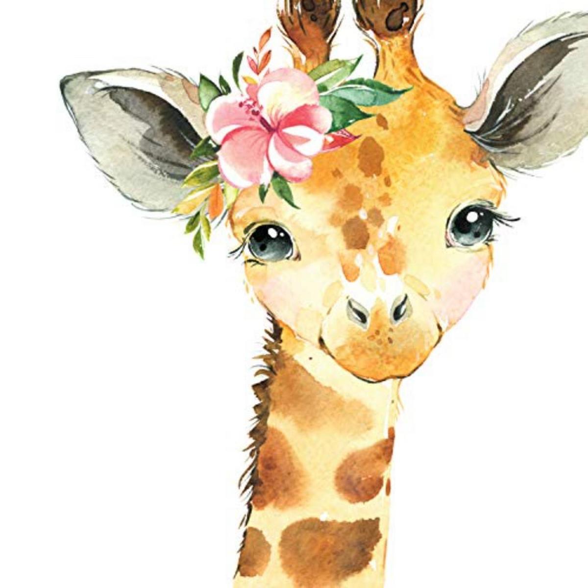 POSTER Set mit 4 Girafa Affe Nashorn und Erdmännchen A4 Rahmenlos - Klar, Papier (29.7/3cm) - Nacnic