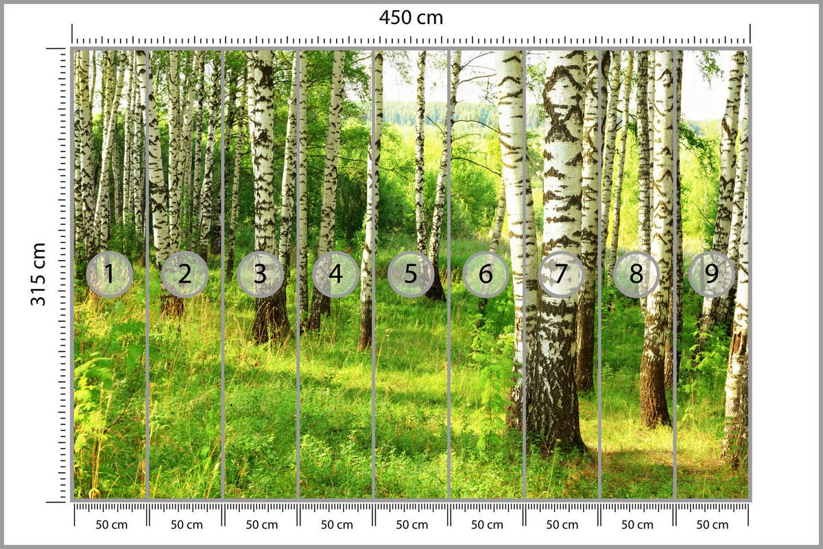 FOTOTAPETE für Esszimmer Birkenwald Bäume Natur 3D 450x315 - Schwarz/Braun, Papier (450/315cm) - Muralo