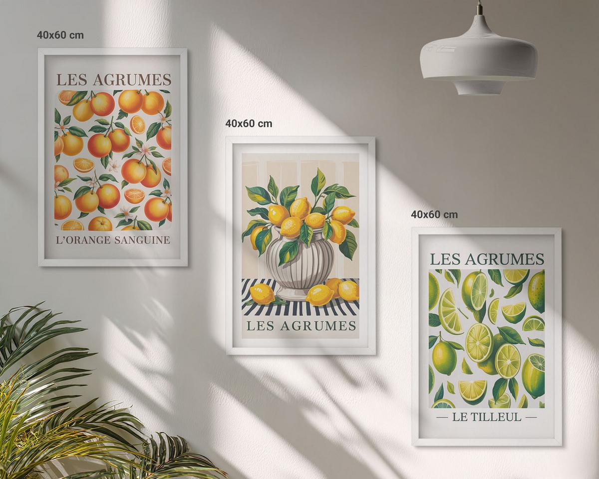 BILDER SET 3er Set - 40x60 cm Weißer Rahmen - Zitrusfrüchte in farbenfrohen Varianten - Weiß, Kunststoff (40/60cm) - TULUP