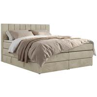 BOXSPRINGBETT ALVER KING 200/200 - Beige Velvet - H3 - Beige, Textil (200/200cm) - MKS