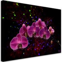 WANDBILD orchidee rosa blumen spa - Lila, Textil (60/40cm) - Feeby