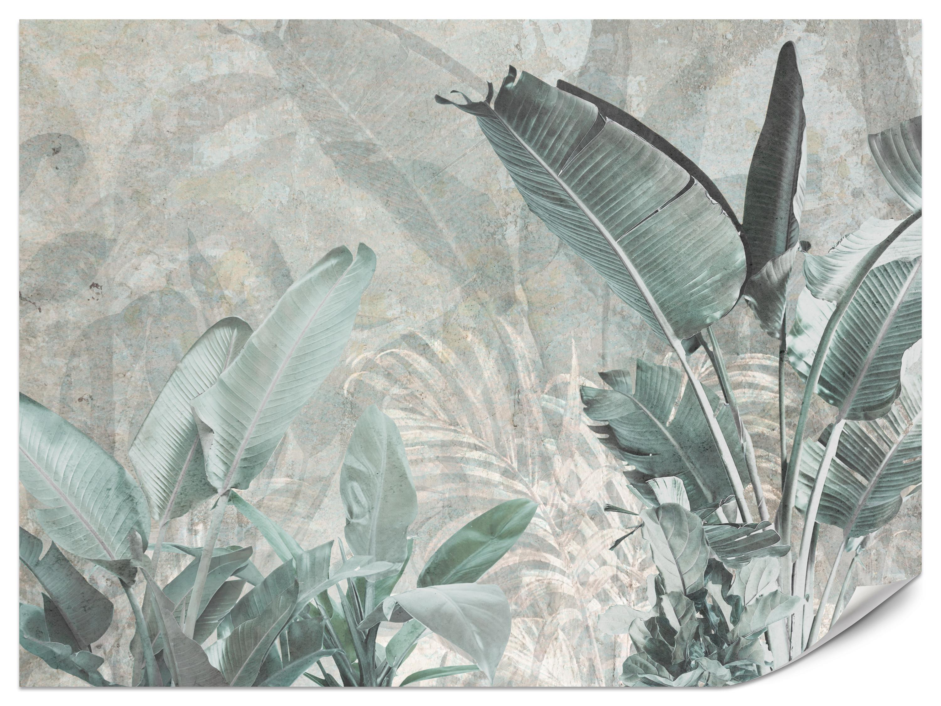 FOTOTAPETE für Küche Beton Bananenblätter Abstrakt Pflanzen Vintage 450x315 - Beige/Grau, Papier (450/315cm) - Muralo