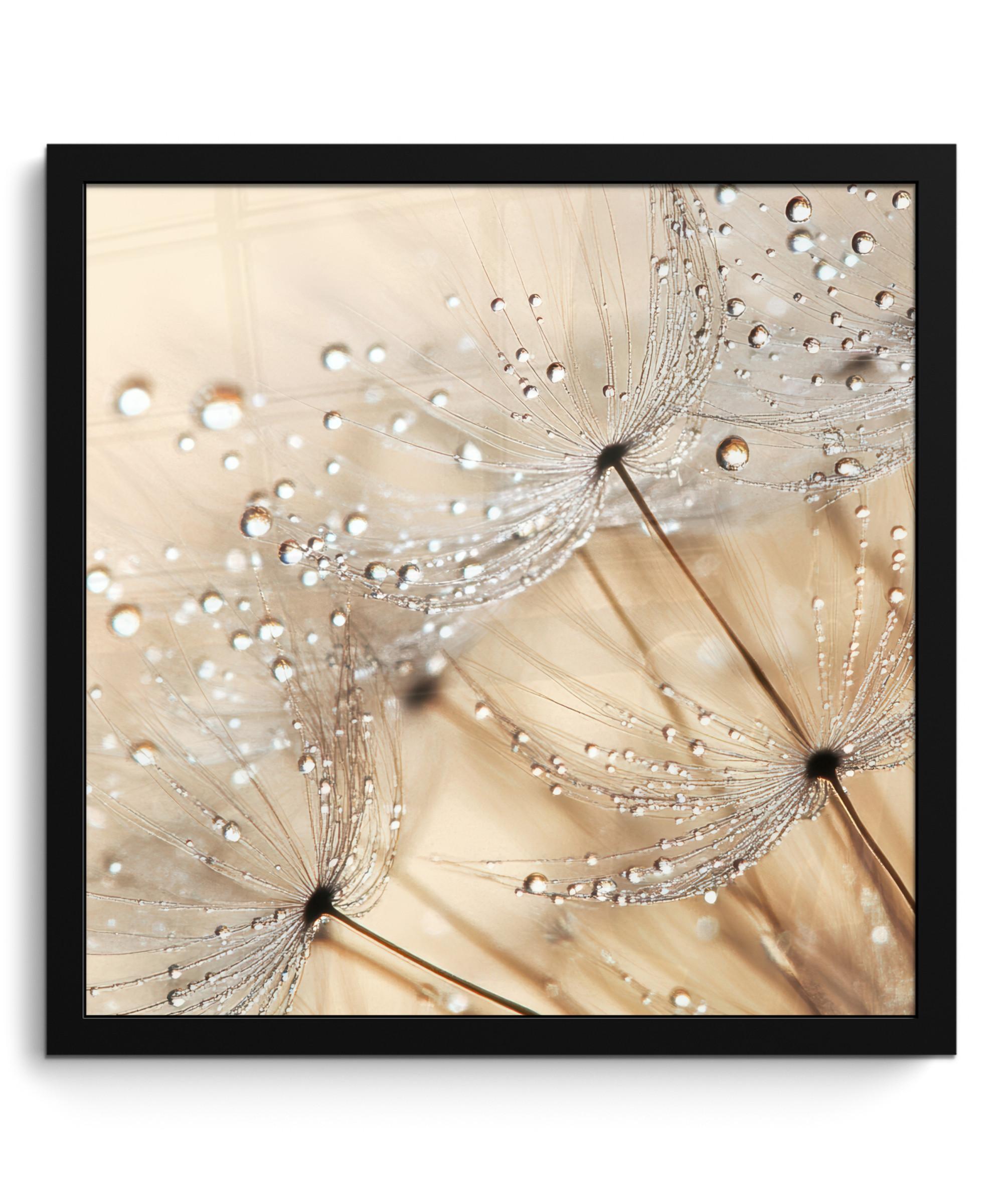 POSTER MIT RAHMENGERAHMTES BILD Löwenzahn - Abstrakt - Natur - Beige 40x40 cm - Braun, Papier (40/40cm) - MuchoWow