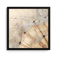 POSTER MIT RAHMENGERAHMTES BILD Löwenzahn - Abstrakt - Natur - Beige 40x40 cm - Braun, Papier (40/40cm) - MuchoWow