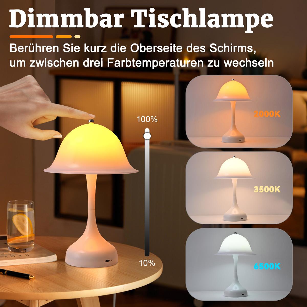 LED TISCHLAMPE Glowyn 16/9/24.5 cm - Weiß, Kunststoff (16/9/24.5cm) - ZMH