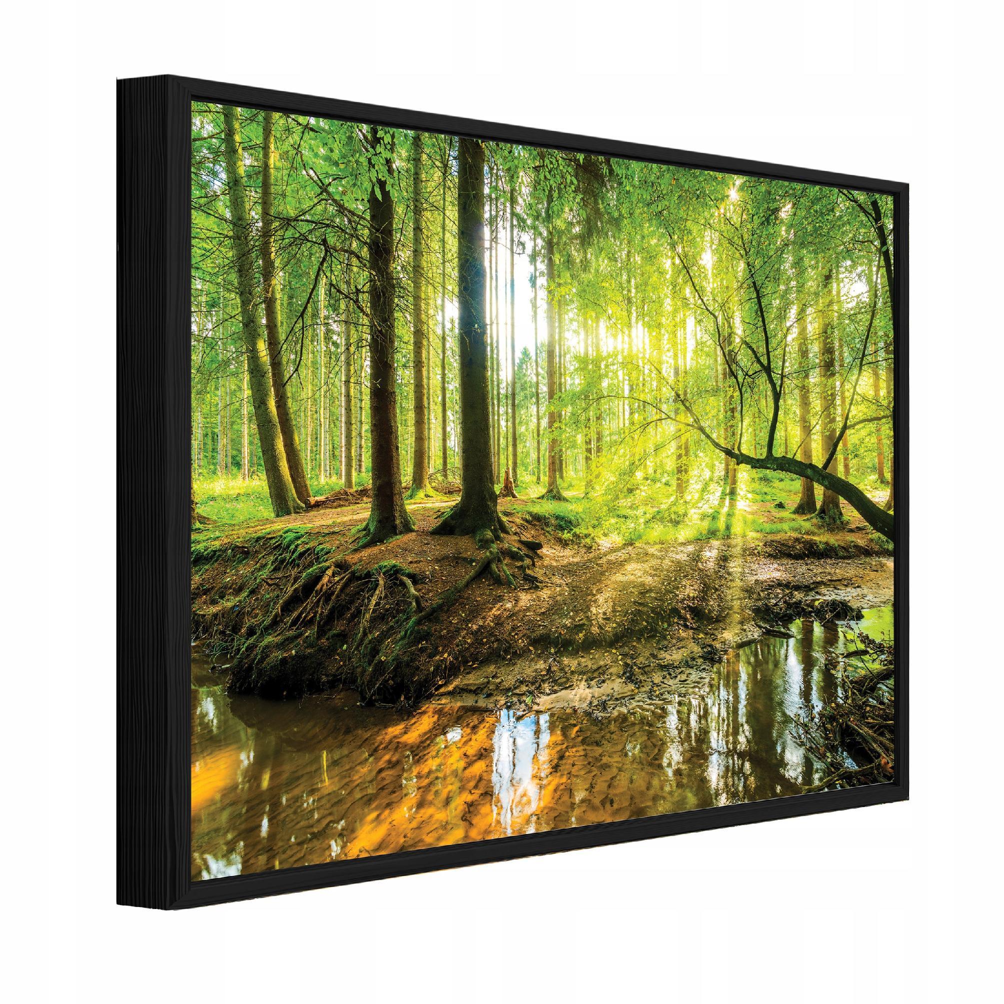 BILDER mit Rahmen Wald Bäume Grün 100x70 cm - Multicolor, Holzwerkstoff (100/70cm) - Wallarena