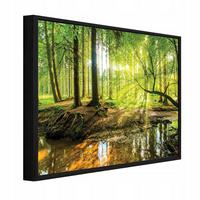 BILDER mit Rahmen Wald Bäume Grün 100x70 cm - Multicolor, Holzwerkstoff (100/70cm) - Wallarena