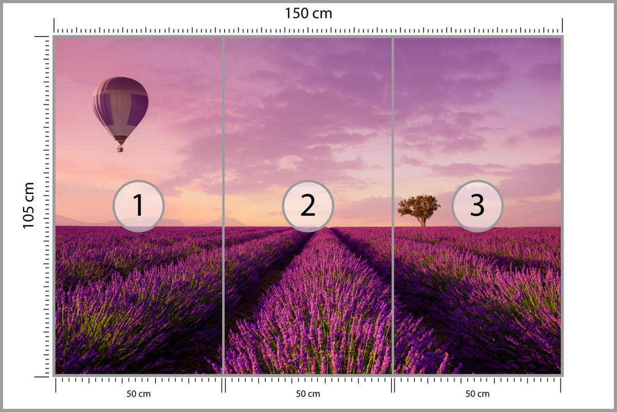 FOTOTAPETE für Wohnzimmer Lavendelfeld Heißluftballon Provence 150x105 - Violett/Lila, Papier (150/105cm) - Muralo