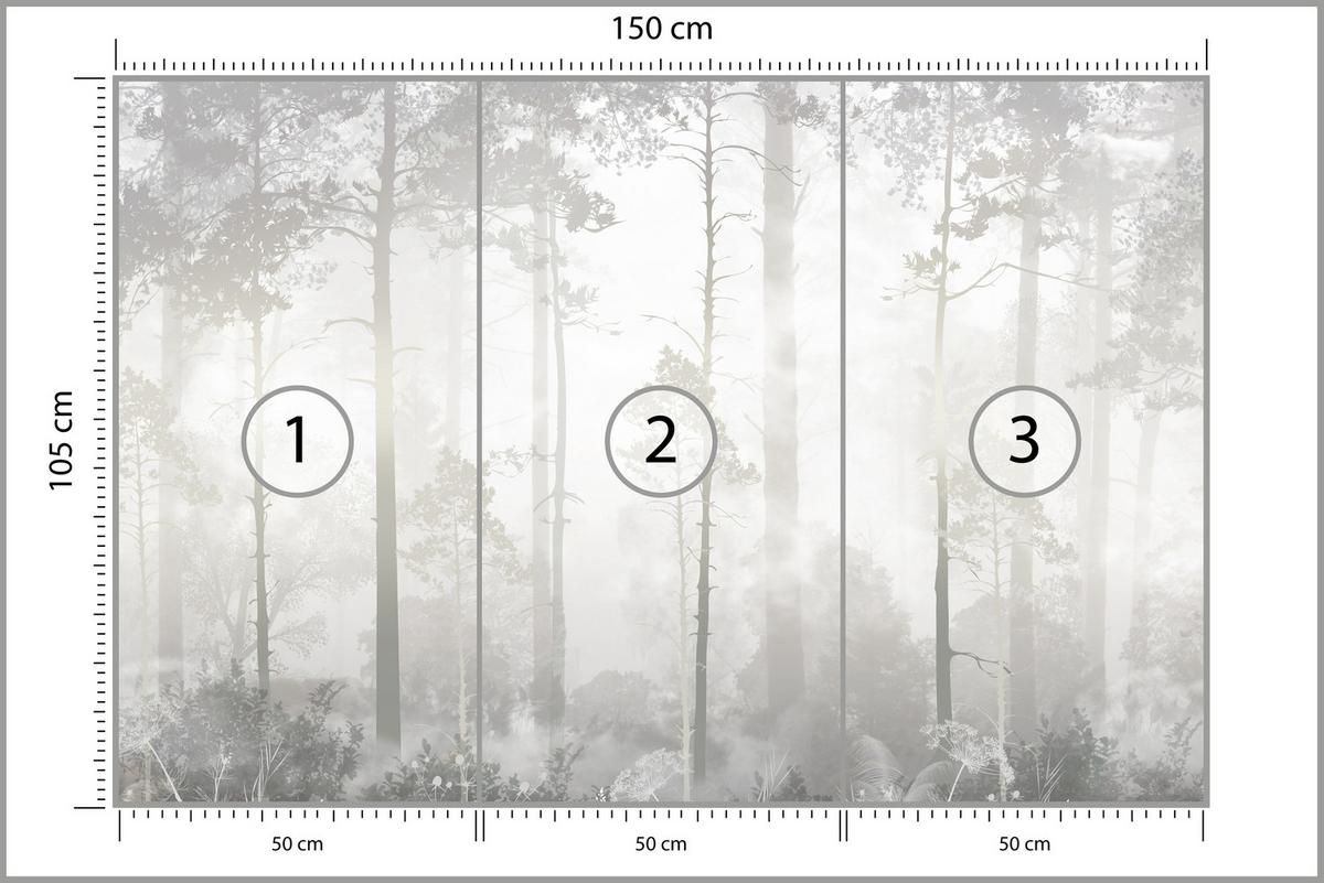 FOTOTAPETE für Schlafzimmer Nebliger Wald Bäume Sträucher Mystik 150x105 - Beige/Weiß, Papier (150/105cm) - Muralo