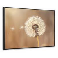 LEINWAND Bilder mit Rahmen - Löwenzahn - Beige - Natur - Blume - 120x80 - Hellbraun, Textil (120/80cm) - MuchoWow