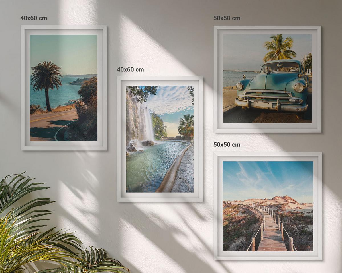 BILDER SET 4er Set - 50x50 cm & 40x60 cm Weißer Rahmen - Urlaub Palmen Wasserfall - Weiß, Kunststoff (50/50cm) - TULUP