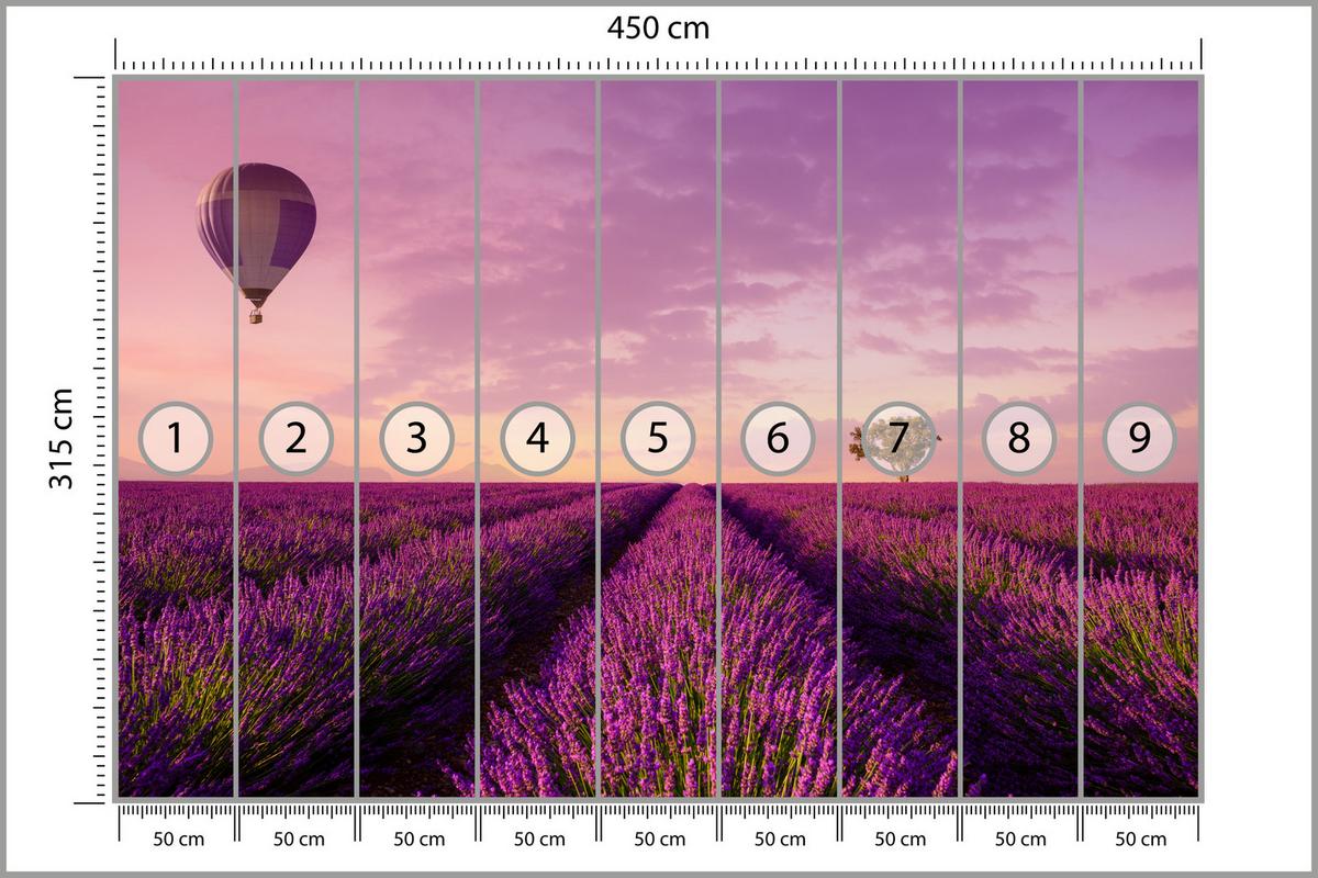 FOTOTAPETE für Wohnzimmer Lavendelfeld Heißluftballon Provence 450x315 - Violett/Lila, Papier (450/315cm) - Muralo