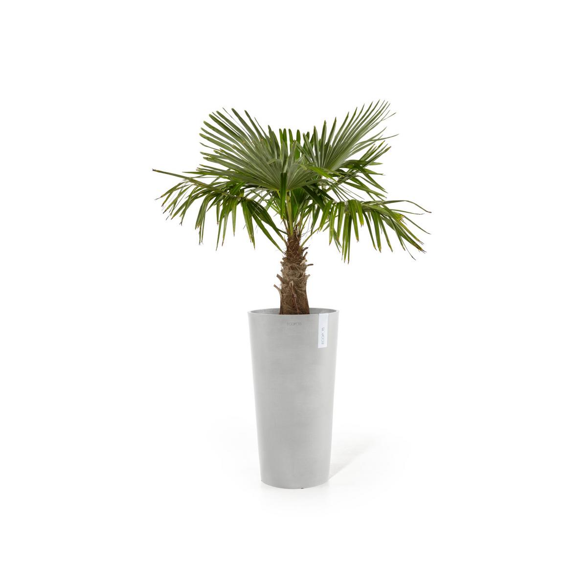BLUMENTOPF Amsterdam High 41,5/76,8 cm Hellgrau - Hellgrau, Kunststoff (41.5/76.8cm) - Ecopots