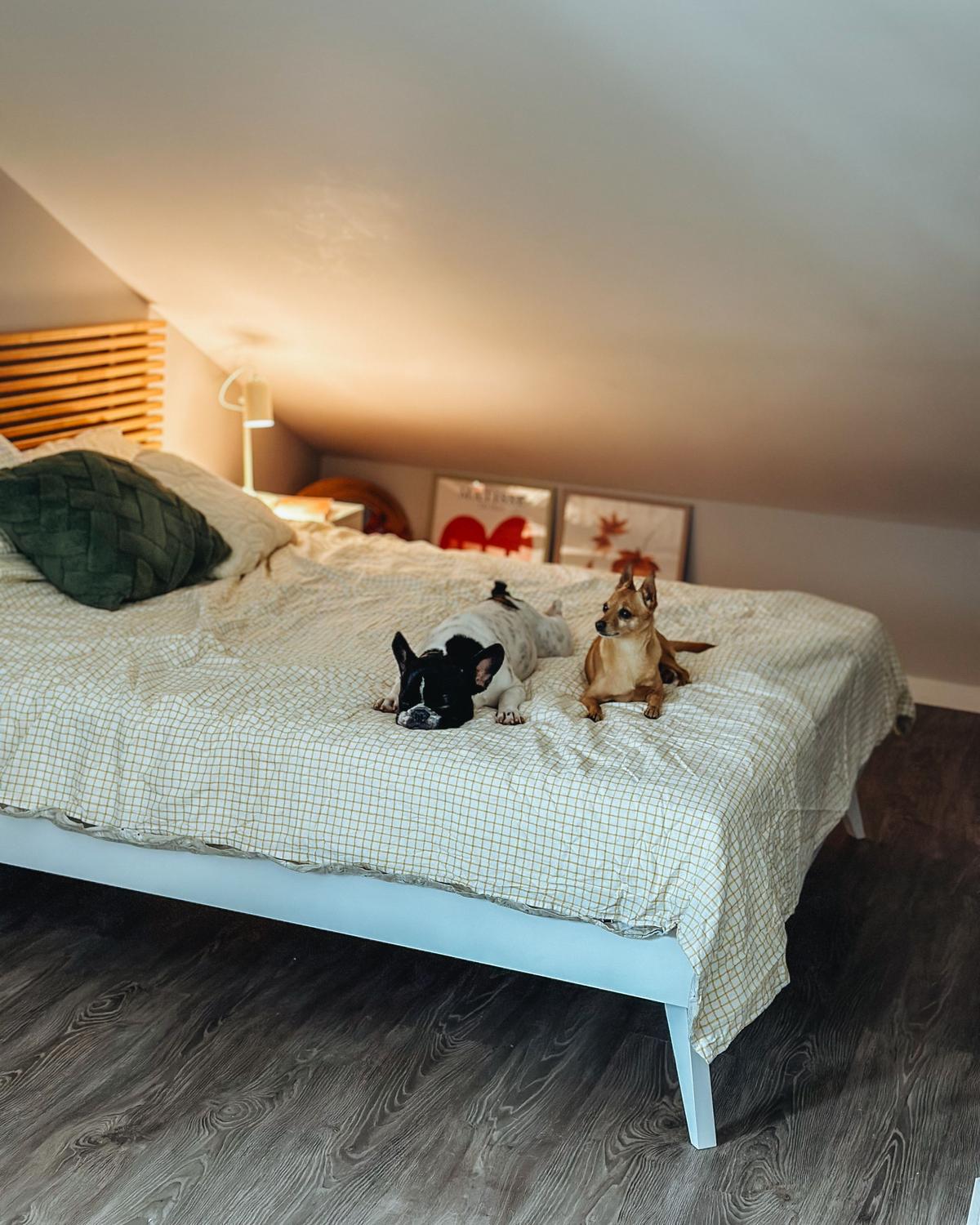 BETT mit Lattenrost 160x200 cm Weiß Berric - Weiß, Holzwerkstoff (160/200cm) - Beliani