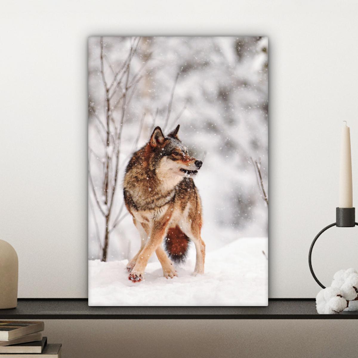 LEINWANDBILD Wolf - Winter - Schnee - Natur - Tiere Deko Wohnzimmer 20x30 cm - Haselnussfarben, Textil (20/30cm) - MuchoWow