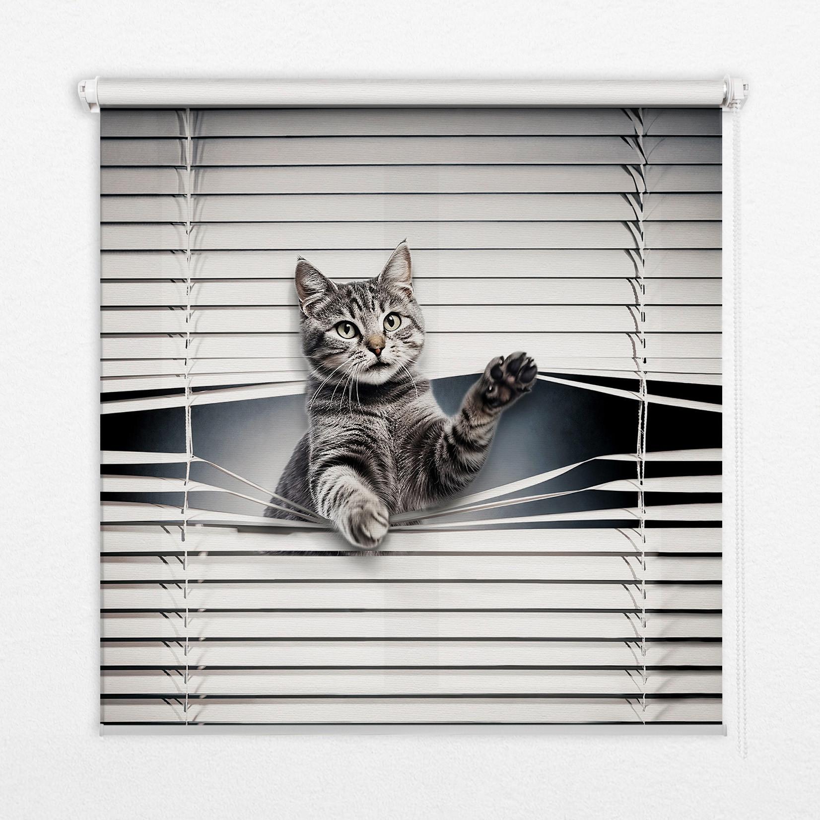 INNENROLLO - Fensterrollo - Rollo - 90x180 cm - Katze - Grau, Kunststoff (90/180/0.5cm) - TULUP