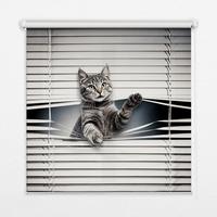 INNENROLLO - Fensterrollo - Rollo - 110x140 cm - Katze - Grau, Kunststoff (110/140/0.5cm) - TULUP