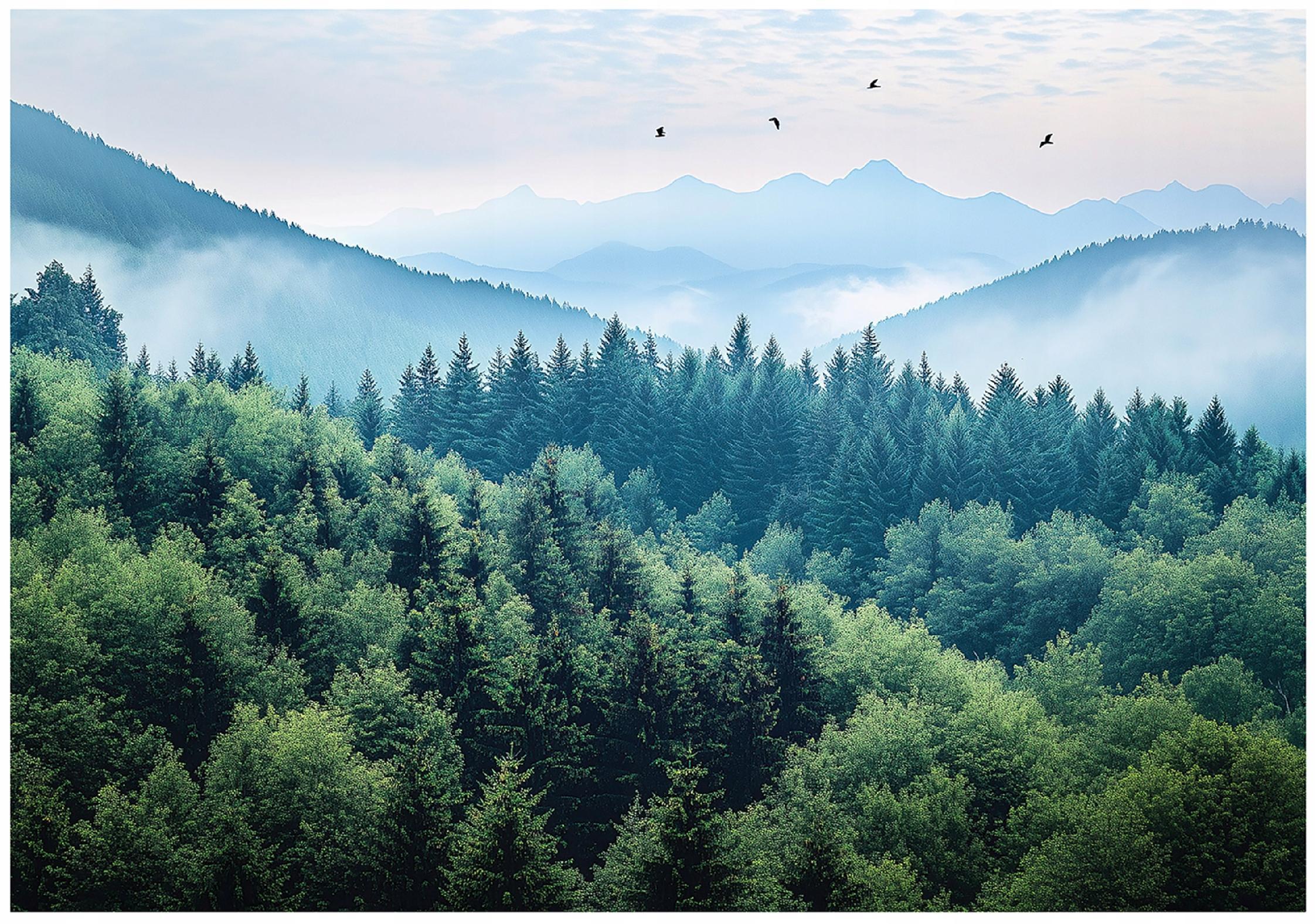 FOTOTAPETE 3D Effekt Wald im Nebel Berge 250x175 - Multicolor, Papier (250/175cm) - Wallarena