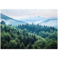 FOTOTAPETE 3D Effekt Wald im Nebel Berge 250x175 - Multicolor, Papier (250/175cm) - Wallarena