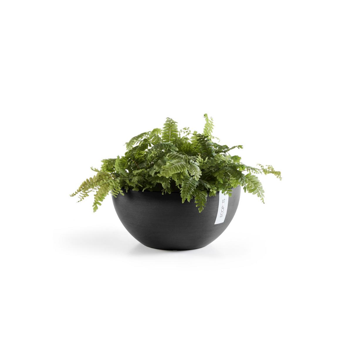BLUMENTOPF Brussels 25/12 cm Dunkelgrau - Dunkelgrau, Kunststoff (25/12cm) - Ecopots