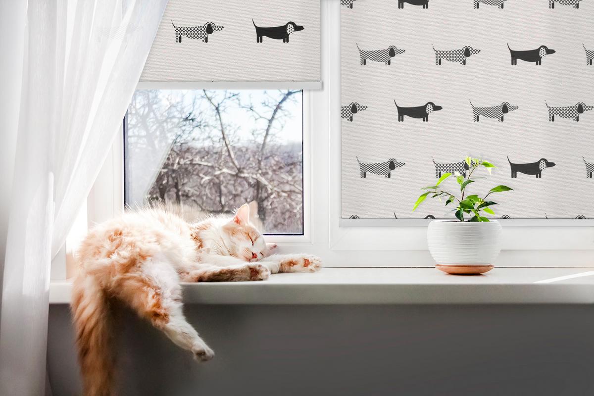 INNENROLLO - Fensterrollo - Rollo - 110x140 cm - Gezeichnete Hunde - Schwarz, Kunststoff (110/140/0.5cm) - TULUP