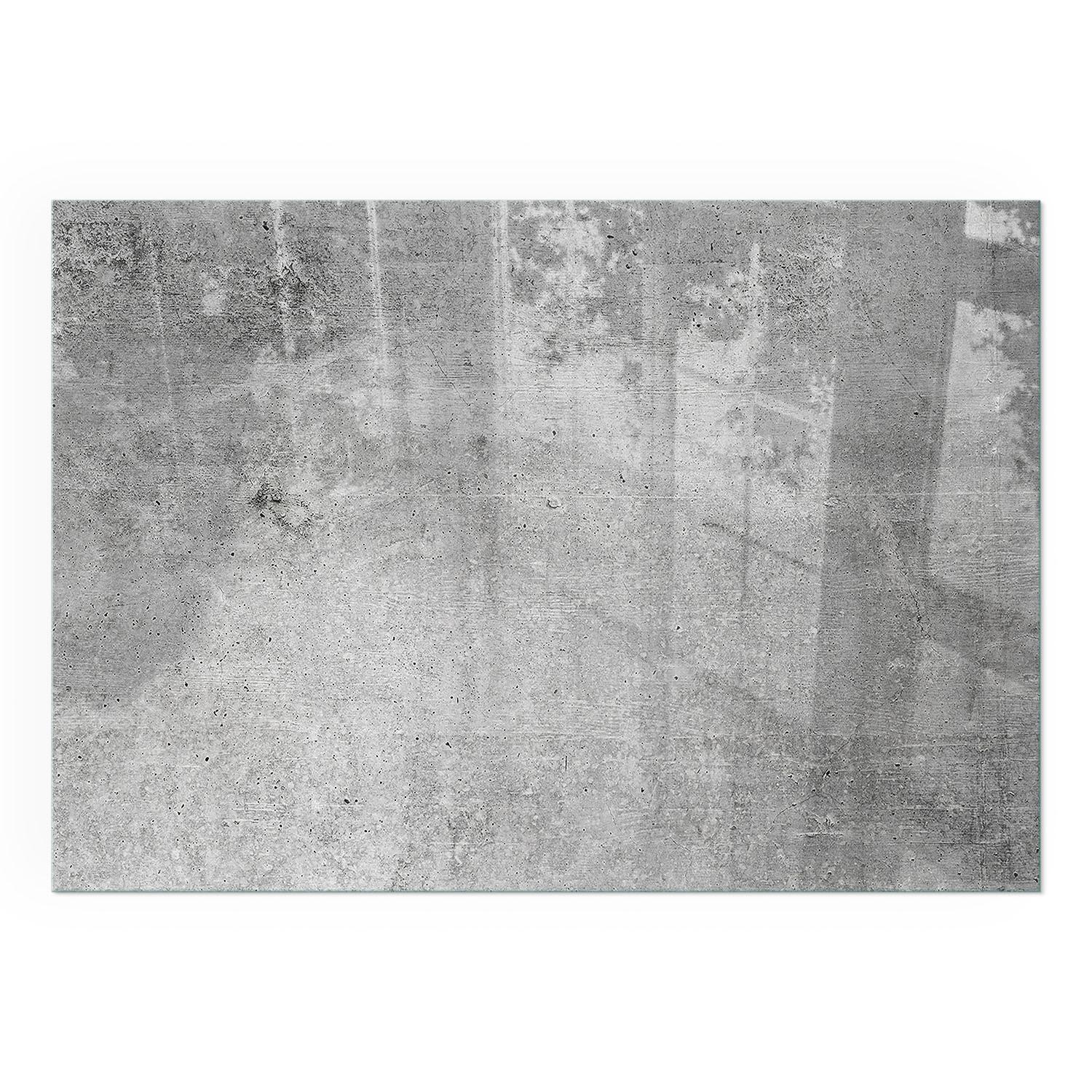 GLASPLATTE für Kamin 100x70 cm - Grau, Glas (100/70/0.4cm) - TULUP