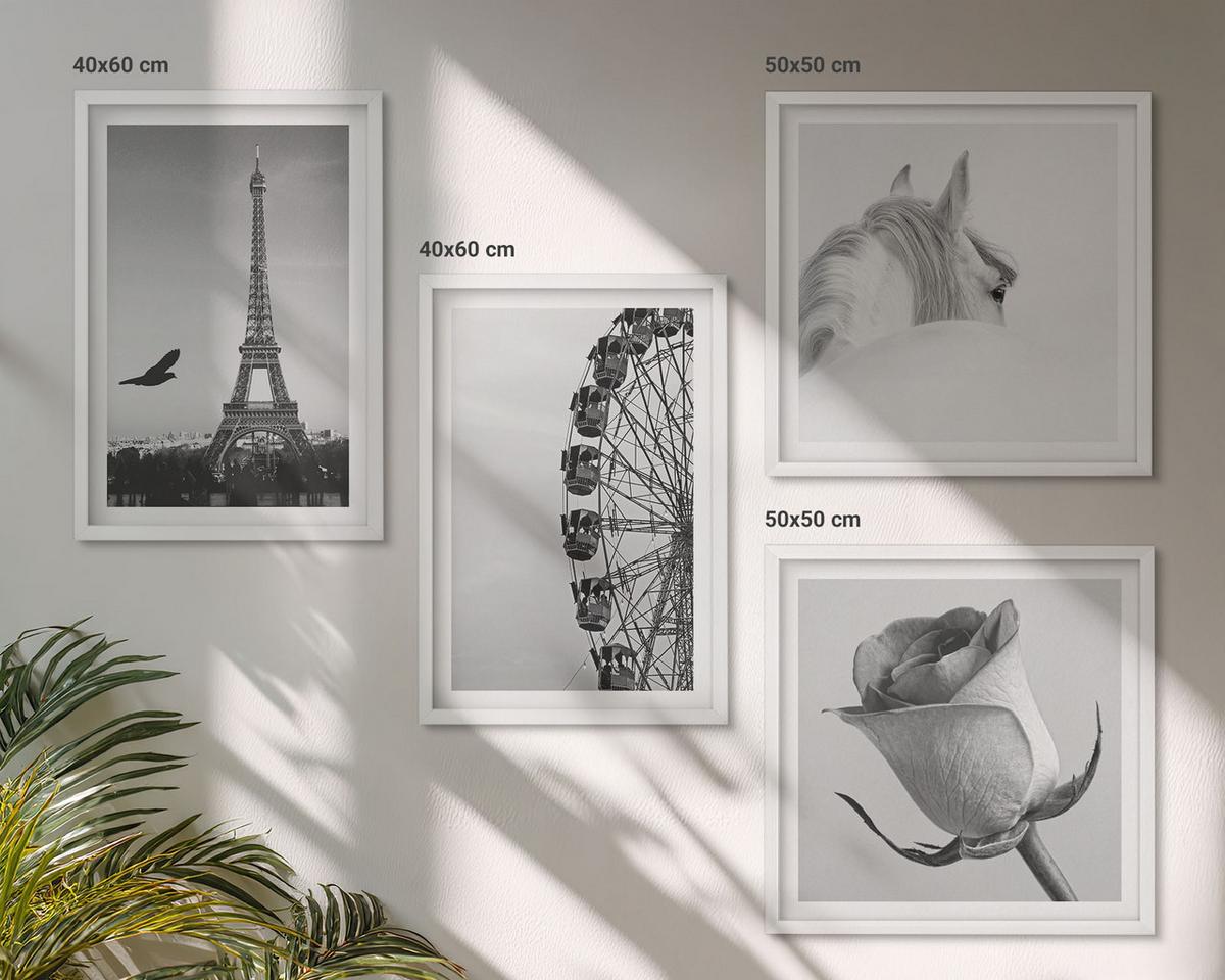 BILDER SET 4er Set - 50x50 cm & 40x60 cm Weißer Rahmen - Rose Eiffelturm Pferd Riesenrad S/W - Weiß, Kunststoff (50/50cm) - TULUP