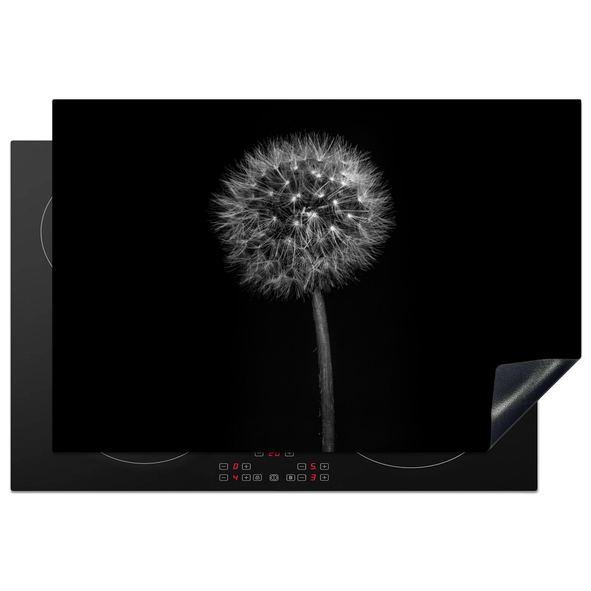 HERDABDECKPLATTE Löwenzahn - Schwarz - Floral - Botanisch Ceranfeldabdeckung 78x52 cm - Grau, Kunststoff (78/52/0.2cm) - MuchoWow