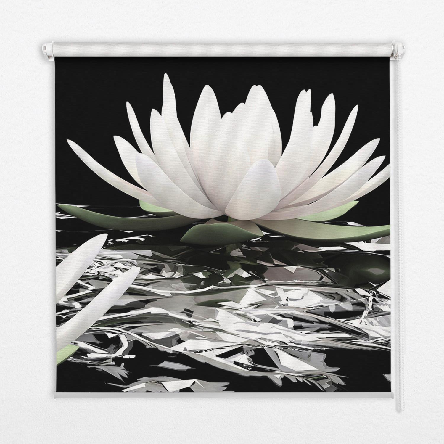 INNENROLLO - Fensterrollo - Rollo - 70x140 cm - Seerosen - Schwarz, Kunststoff (70/140/0.5cm) - TULUP