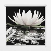 INNENROLLO - Fensterrollo - Rollo - 70x140 cm - Seerosen - Schwarz, Kunststoff (70/140/0.5cm) - TULUP