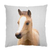 DEKOKISSEN Baby Pferd Philipp 40/40 cm - Schwarz, Textil (40/40/10cm) - Bilderwelten