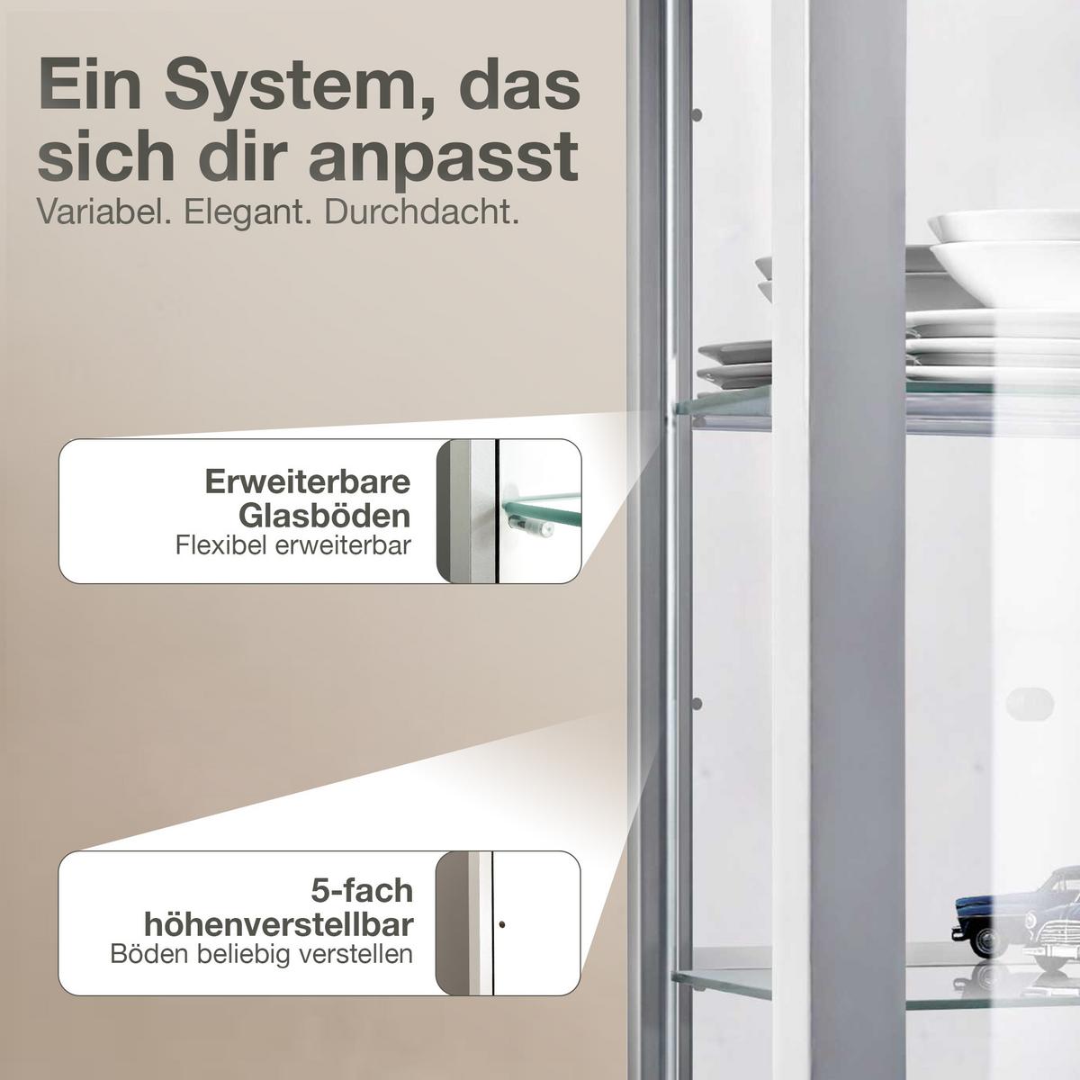 HÄNGEVITRINE 25/60/80 cm mit Spiegel, LED & 2 höhenverstellbaren Glasböden - Transparent/Silberfarben, Glas/Holzwerkstoff (60/80/25cm) - K-Möbel