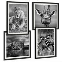 BILDER SET 4er Set - 50x50 cm & 40x60 cm Schwarzer Rahmen - Wildtiere Löwe Jaguar Giraffe Zebras - Schwarz, Kunststoff (50/50cm) - TULUP
