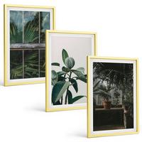 BILDER SET 3er Set - 40x60 cm Goldrahmen - Grüne Blätter an der Fensterpflanze - Goldfarben, Kunststoff (40/60cm) - TULUP