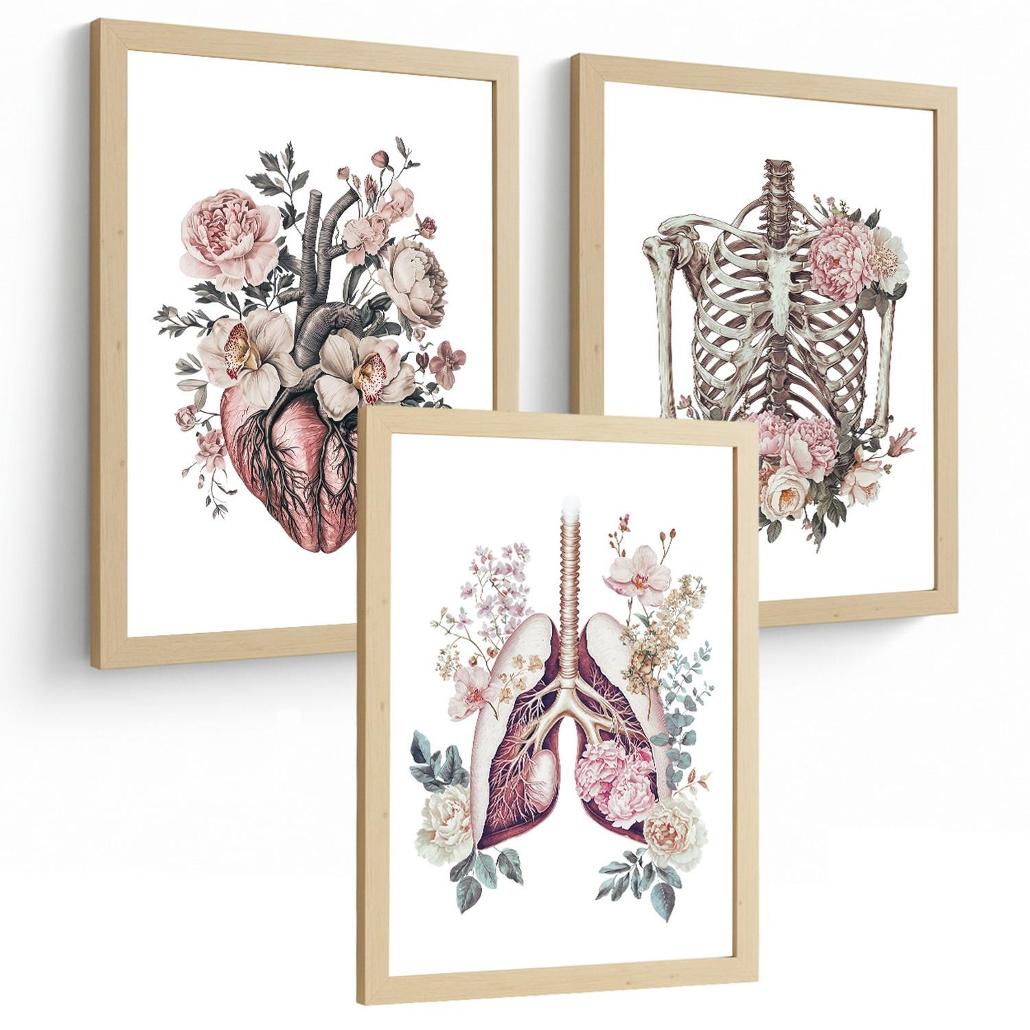 POSTER Set aus 3 Anatomie Florale Drucke und Wandbilder mit Herz Brustkorb und Lungen Detaillierter Illustrationsstil Größe Leichter Holzrahmen A3 - Beige, Papier (29.7/42/3cm) - Nacnic