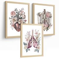 POSTER Set aus 3 Anatomie Florale Drucke und Wandbilder mit Herz Brustkorb und Lungen Detaillierter Illustrationsstil Größe Leichter Holzrahmen A3 - Beige, Papier (29.7/42/3cm) - Nacnic