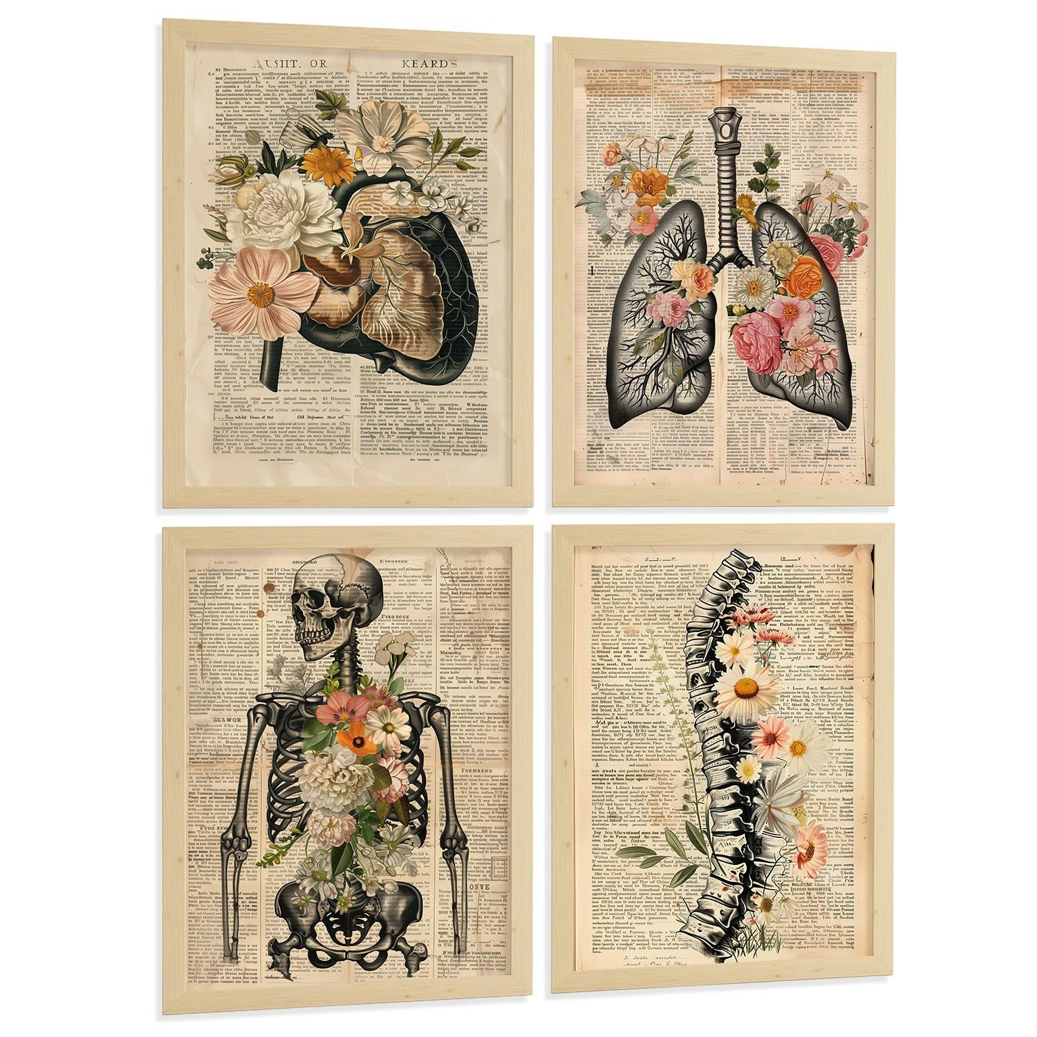 POSTER Set aus 4 Anatomie Drucke und Wandbilder mit Leber Lungen Atmungssystem Skelett Schädel Wirbelsäule Zeitungsstil Größe Leichter Holzrahmen A3 - Beige, Papier (29.7/42/3cm) - Nacnic