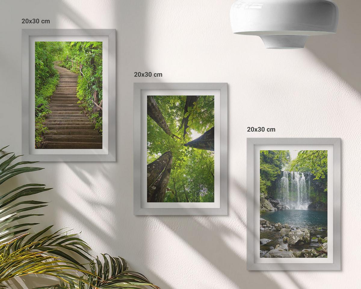 BILDER SET 3er Set - 20x30 cm Silberner Rahmen - Pfad Wald Wasserfall Vegetation - Silberfarben, Kunststoff (20/30cm) - TULUP