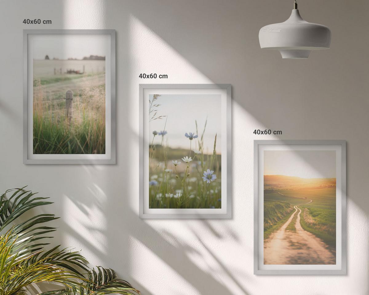 BILDER SET 3er Set - 40x60 cm Silberner Rahmen - Landschaften Natur Felder Weg - Silberfarben, Kunststoff (40/60cm) - TULUP