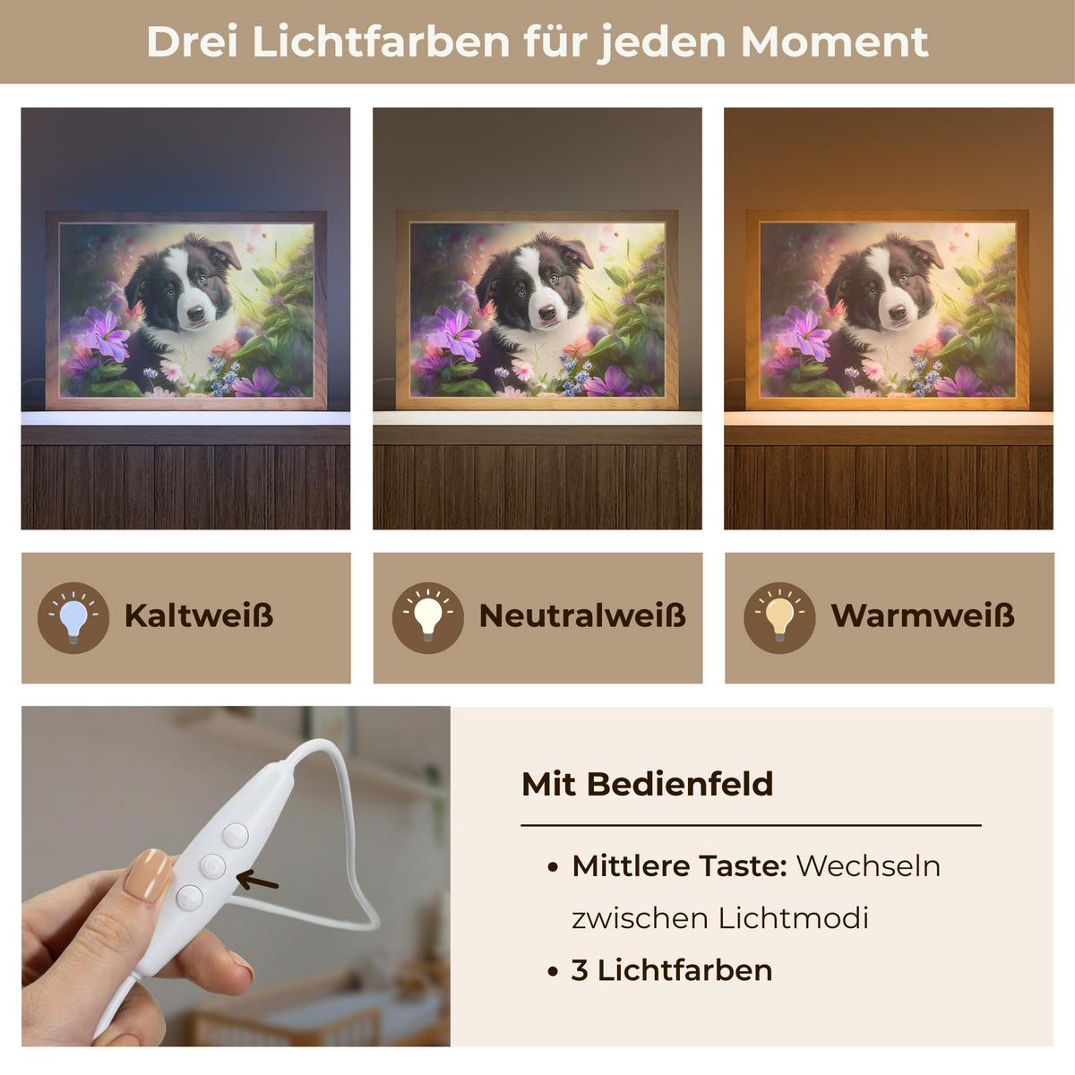 NACHTTISCHLAMPE Welpe - Sonne - Blumen - Natur - Border Collie - Hund 30x20 cm - Violett, Holzwerkstoff (8/30/20cm) - OnlyWow