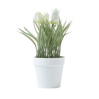 KUNSTBLUMEN Tulpen weiß im Blumentopf, 22 cm - Weiß, Kunststoff (22cm) - Homescapes