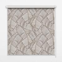 INNENROLLO - Fensterrollo - Rollo - 150x140 cm - Gezeichnete Palmblätter - Grau, Kunststoff (150/140/0.5cm) - TULUP