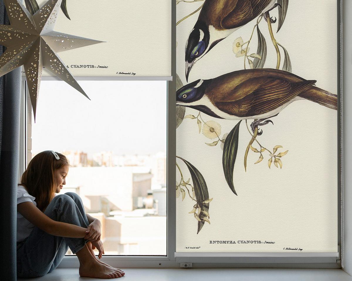 INNENROLLO - Fensterrollo - Rollo - 100x140 cm - Vögel auf einem Baum - Weiß, Kunststoff (100/140/0.5cm) - TULUP