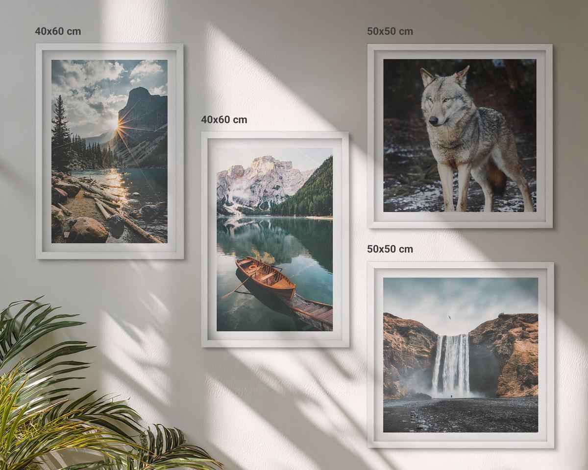 BILDER SET 4er Set - 50x50 cm & 40x60 cm Weißer Rahmen - Berge, Seen, Wasserfall, Wolf - Weiß, Kunststoff (50/50cm) - TULUP