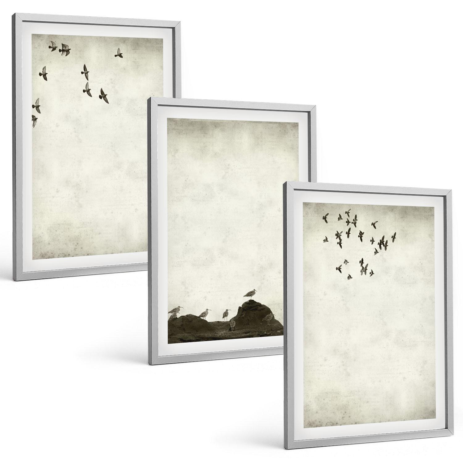 BILDER SET 3er Set - 40x60 cm Silberner Rahmen - Fliegende Vögel Minimalismus - Silberfarben, Kunststoff (40/60cm) - TULUP